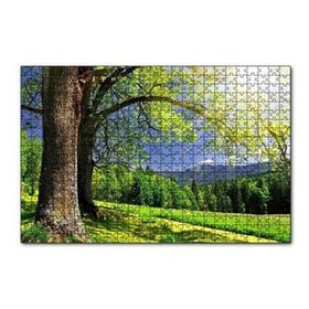 Cakapuzzle Yemyeşil Ağaçlar ve Güneş Işıkları 255 Parça Puzzle