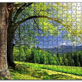 Cakapuzzle Yemyeşil Ağaçlar ve Güneş Işıkları Mdf 1000 Parça Puzzle