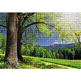 Cakapuzzle Yemyeşil Ağaçlar ve Güneş Işıkları Mdf 1000 Parça Puzzle