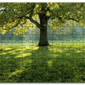 Cakapuzzle Yemyeşil Çayırdaki Yalnız Ağaç Güneş Işıkları Mdf 120 Parça Puzzle