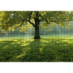 Cakapuzzle Yemyeşil Çayırdaki Yalnız Ağaç Güneş Işıkları Mdf 500 Parça Puzzle