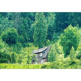 Cakapuzzle Yemyeşil Orman ve Önündeki Ahşap Ev 120 Parça Ahşap Puzzle