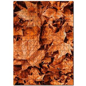Cakapuzzle Yerde Kuru Sonbahar Yaprakları Mdf 500 Parça Puzzle