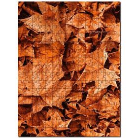 Cakapuzzle Yerde Kuru Sonbahar Yaprakları Mdf 500 Parça Puzzle