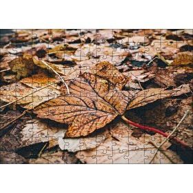 Cakapuzzle Yerde Sararmış Yapraklar Mdf 120 Parça Puzzle