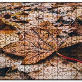 Cakapuzzle Yerde Sararmış Yapraklar Mdf 500 Parça Puzzle