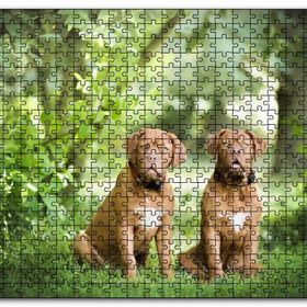 Cakapuzzle Yeşil Ağaçlar Arasındaki Kahverengi Boxerlar Mdf 120 Parça Puzzle