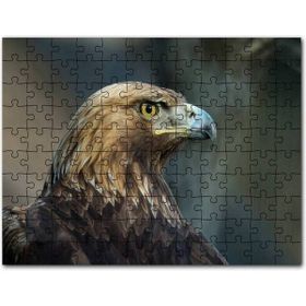 Cakapuzzle Yeşil Ayakkabı ve Içinde Yavru Kediler Karikatür 500 Parça Puzzle