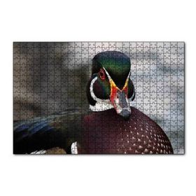 Cakapuzzle Yeşil Başlı Ördek Yakın Plan 120 Parça Ahşap Puzzle