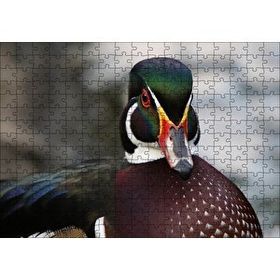 Cakapuzzle Yeşil Başlı Ördek Yakın Plan 120 Parça Ahşap Puzzle