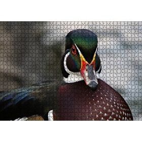 Cakapuzzle Yeşil Başlı Ördek Yakın Plan 120 Parça Ahşap Puzzle
