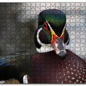 Cakapuzzle Yeşil Başlı Ördek Yakın Plan Mdf 500 Parça Puzzle
