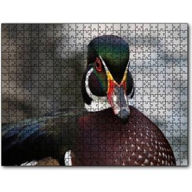 Cakapuzzle Yeşil Başlı Ördek Yakın Plan Mdf 500 Parça Puzzle