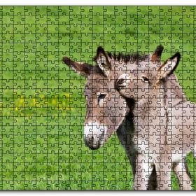 Cakapuzzle Yeşil Çayırda Gri Anne Eşek ve Sıpası Mdf 120 Parça Puzzle