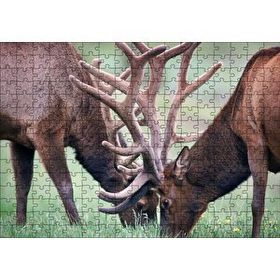 Cakapuzzle Yeşil Çayırda Otlayan Boynuzlu Geyikler 120 Parça Ahşap Puzzle