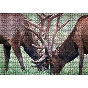 Cakapuzzle Yeşil Çayırda Otlayan Boynuzlu Geyikler 120 Parça Ahşap Puzzle
