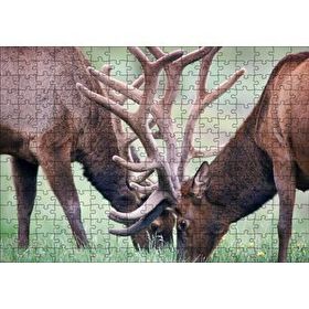 Cakapuzzle Yeşil Çayırda Otlayan Boynuzlu Geyikler 120 Parça Ahşap Puzzle