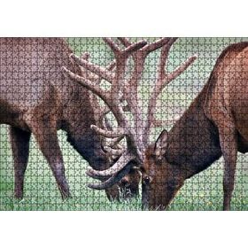 Cakapuzzle Yeşil Çayırda Otlayan Boynuzlu Geyikler 120 Parça Ahşap Puzzle