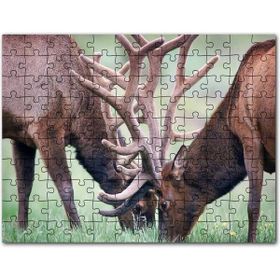 Cakapuzzle Yeşil Çayırda Otlayan Boynuzlu Geyikler Mdf 1000 Parça Puzzle
