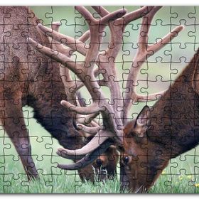 Cakapuzzle Yeşil Çayırda Otlayan Boynuzlu Geyikler Mdf 255 Parça Puzzle
