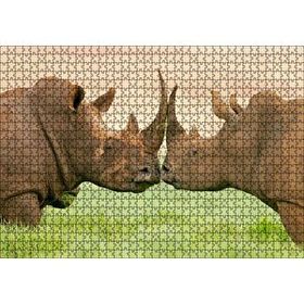 Cakapuzzle Yeşil Çayırdaki Erkek ve Dişi Gergedan Mdf 1000 Parça Puzzle