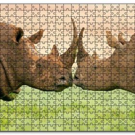 Cakapuzzle Yeşil Çayırdaki Erkek ve Dişi Gergedan Mdf 500 Parça Puzzle