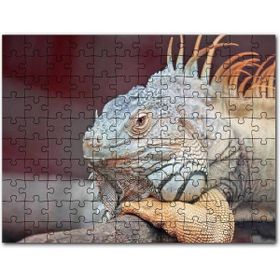 Cakapuzzle Yeşil Çayırdaki Erkek ve Dişi Gergedan Mdf 500 Parça Puzzle
