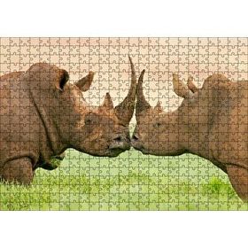Cakapuzzle Yeşil Çayırdaki Erkek ve Dişi Gergedan Mdf 500 Parça Puzzle