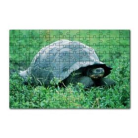 Cakapuzzle Yeşil Çayırdaki Kaplumbağa 120 Parça Ahşap Puzzle