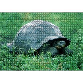 Cakapuzzle Yeşil Çayırdaki Kaplumbağa 120 Parça Ahşap Puzzle
