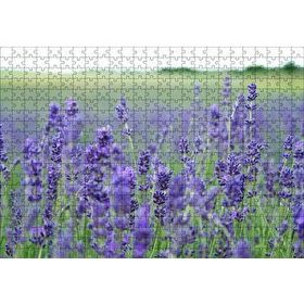 Cakapuzzle Yeşil Çayırlar ve Lavantalar 120 Parça Ahşap Puzzle
