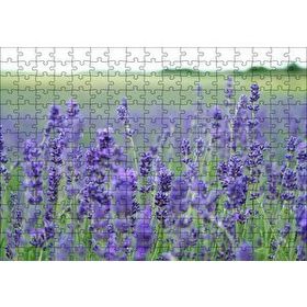 Cakapuzzle Yeşil Çayırlar ve Lavantalar 120 Parça Ahşap Puzzle