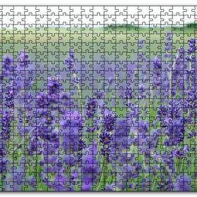 Cakapuzzle Yeşil Çayırlar ve Lavantalar Mdf 120 Parça Puzzle