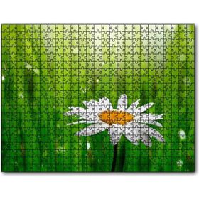 Cakapuzzle Yeşil Çimenler Papatya ve Su Damlaları 255 Parça Puzzle