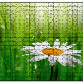 Cakapuzzle Yeşil Çimenler Papatya ve Su Damlaları Mdf 500 Parça Puzzle