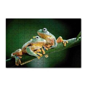 Cakapuzzle Yeşil Dalda Bir Çift Kurbağa 120 Parça Ahşap Puzzle