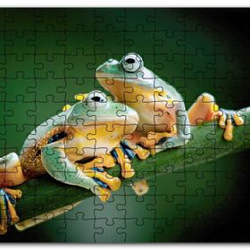 Cakapuzzle Yeşil Dalda Bir Çift Kurbağa Mdf 500 Parça Puzzle