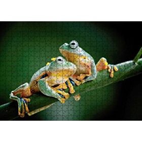 Cakapuzzle Yeşil Dalda Bir Çift Kurbağa Mdf 500 Parça Puzzle