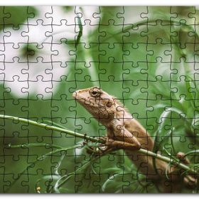 Cakapuzzle Yeşil Dallar Arasındaki İguana Flu Arkaplan Mdf 255 Parça Puzzle