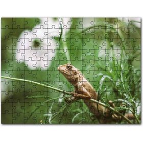 Cakapuzzle Yeşil Dallar Arasındaki İguana Flu Arkaplan Mdf 255 Parça Puzzle