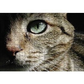 Cakapuzzle Yeşil Gözlü Kedi 255 Parça Puzzle