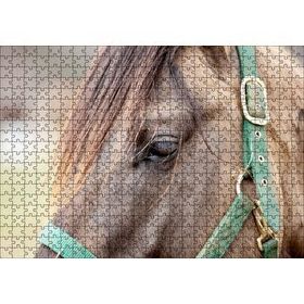 Cakapuzzle Yeşil Koşumlu Kahverengi At Yakın Çekim 120 Parça Ahşap Puzzle