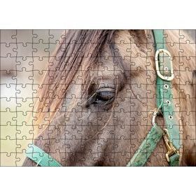Cakapuzzle Yeşil Koşumlu Kahverengi At Yakın Çekim 120 Parça Ahşap Puzzle
