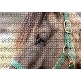 Cakapuzzle Yeşil Koşumlu Kahverengi At Yakın Çekim 120 Parça Ahşap Puzzle
