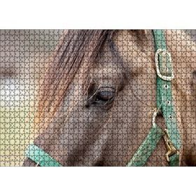 Cakapuzzle Yeşil Koşumlu Kahverengi At Yakın Çekim 120 Parça Ahşap Puzzle