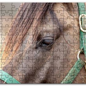 Cakapuzzle Yeşil Koşumlu Kahverengi At Yakın Çekim Mdf 120 Parça Puzzle