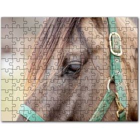 Cakapuzzle Yeşil Koşumlu Kahverengi At Yakın Çekim Mdf 120 Parça Puzzle