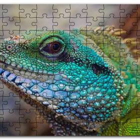 Cakapuzzle Yeşil Mavi Renkleriyle Kertenkele Yakın Çekim Mdf 120 Parça Puzzle