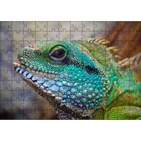 Cakapuzzle Yeşil Mavi Renkleriyle Kertenkele Yakın Çekim Mdf 120 Parça Puzzle