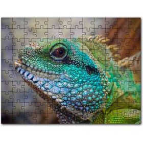 Cakapuzzle Yeşil Mavi Renkleriyle Kertenkele Yakın Çekim Mdf 500 Parça Puzzle